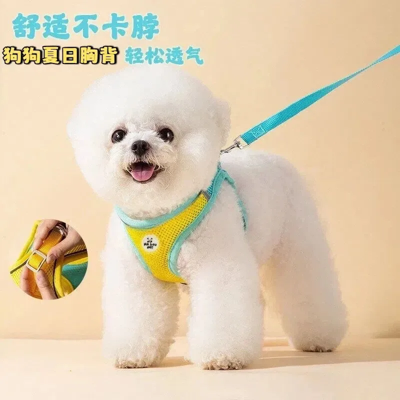 狗狗牵引绳多色遛狗绳小中大型犬牵引绳狗绳项圈比熊宠物狗