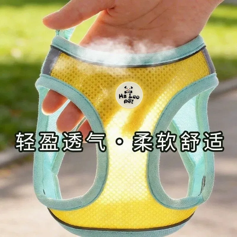 狗狗牵引绳多色遛狗绳小中大型犬牵引绳狗绳项圈比熊宠物狗 gallery image